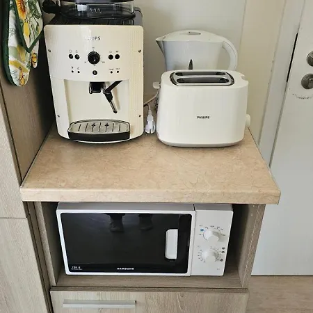 公寓 Vladan 索佐波尔